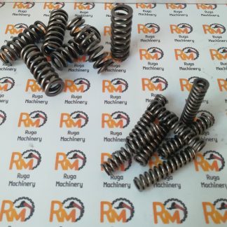 60099971-60100049 SPRING